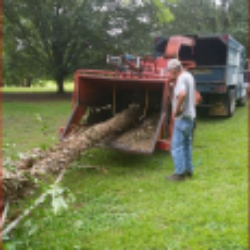 Danforth Tree Specialists