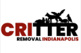 Critter Removal Indianapolis