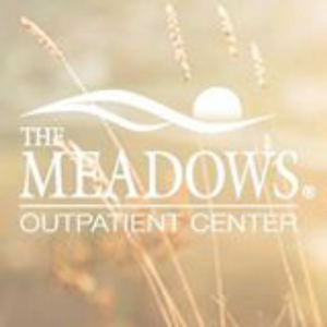 The Meadows Outpatient Center