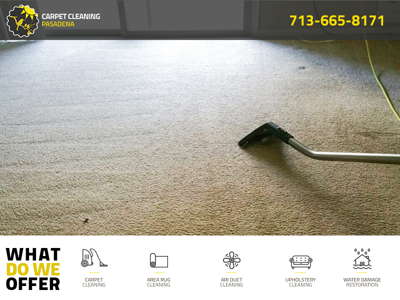 Carpet Cleaning Pasadena Wall Directory